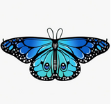 1pc Butterfly Wing Cape