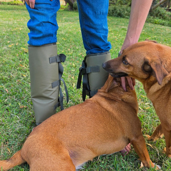 Veldkaros Snake Gaiters