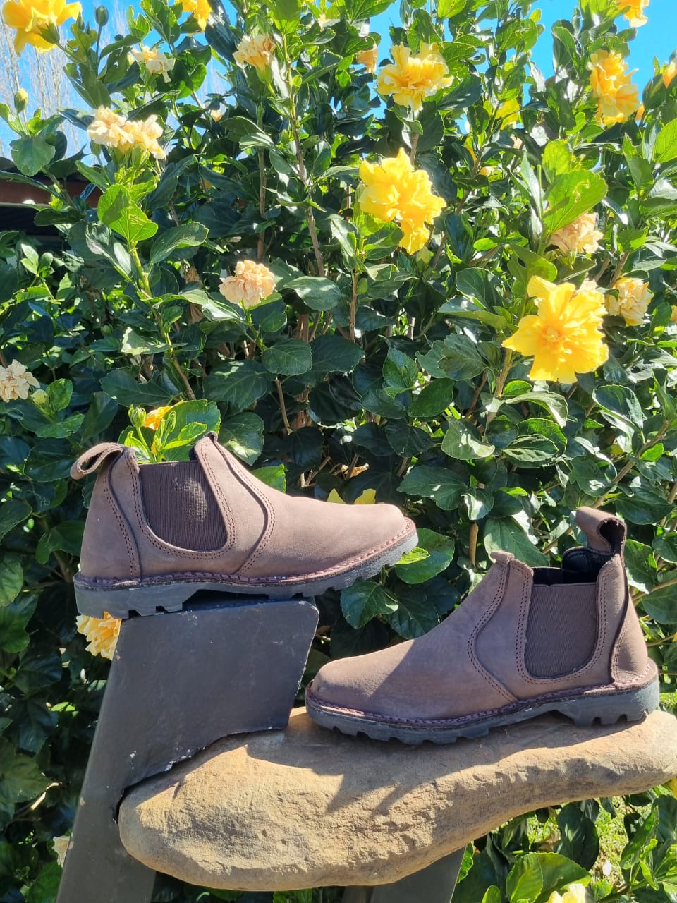 Trekker sole Option 1