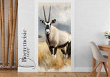 Gemsbok