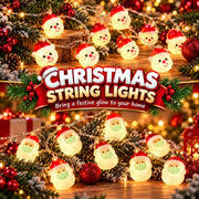 Santa Christmas Lights – 2m