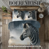 Zebra Africa 2