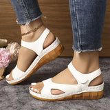 https://img.kwcdn.com/product/fancy/a1f61e04-bea2-4374-9c62-944c4c4dc38c.jpg