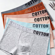 https://img.kwcdn.com/product/fancy/a52c1e4e-396e-44cf-903a-9b94f4f4c052.jpg