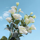 https://img.kwcdn.com/product/fancy/a66b5457-deb4-47cc-bd6f-4ab60c8ad681.jpg