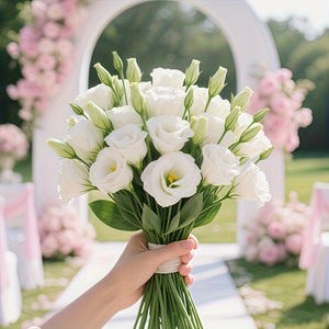 https://img.kwcdn.com/product/fancy/a94fe6db-b54e-4c9e-a507-8be6c8861777.jpg