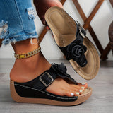 https://img.kwcdn.com/product/fancy/a9cf678d-b63d-49f3-8693-314a1e0ce93d.jpg