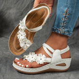 https://img.kwcdn.com/product/open/ab732dbbc5a341f7a45113a5ed4d6c83-goods.jpeg