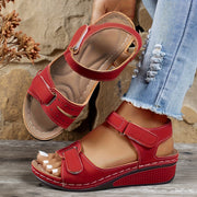 https://img.kwcdn.com/product/fancy/adf206a3-6854-4dbb-bc32-f4f16a51251b.jpg