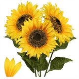 https://img.kwcdn.com/product/open/aee5f8bcacc04e83af27f2b548e65a30-goods.jpeg