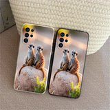 https://img.kwcdn.com/product/2079f65d84/b1204b70-4c8c-4ece-a794-931ef94296f6_1000x1000.jpeg