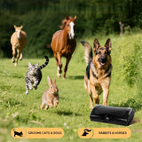 https://img.kwcdn.com/product/fancy/b183f853-4d30-4415-b5e3-0176483ef078.jpg
