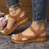 https://img.kwcdn.com/product/fancy/b1cf43b5-62dd-4407-949a-66ef6af87827.jpg