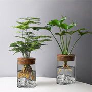 https://img.kwcdn.com/product/open/b632c677a2e34a8cb830c12c459f9a98-goods.jpeg