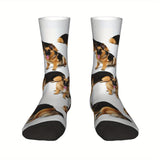 https://img.kwcdn.com/product/open/b66817b844e54f08bf3a444e03640bbe-goods.jpeg