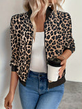 https://img.kwcdn.com/product/fancy/b679e0ca-f9ac-4a04-9487-4f32bec24e47.jpg