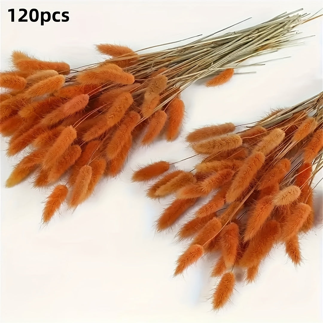 https://img.kwcdn.com/product/fancy/be34ede1-b8df-4ebd-b6bd-e89b5dbff7e9.jpg