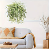 https://img.kwcdn.com/product/fancy/c1be118b-6aba-43d6-809e-cd3d30a0d370.jpg