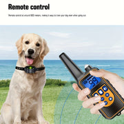 https://img.kwcdn.com/product/fancy/c1d101bd-cc30-4029-b287-9f1758f7f6f9.jpg