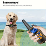 https://img.kwcdn.com/product/fancy/c1d101bd-cc30-4029-b287-9f1758f7f6f9.jpg