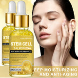 https://img.kwcdn.com/product/fancy/c2c81494-aad7-44f2-ab4e-ebe4501bd928.jpg