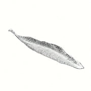 https://img.kwcdn.com/product/fancy/c4a7aeb7-95a5-4e06-a33b-5d49f541ead9.jpg