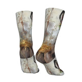 https://img.kwcdn.com/product/open/c5379989bfcc4254bbb41d7ee43da7a6-goods.jpeg