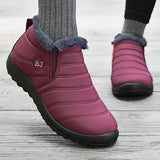 https://img.kwcdn.com/product/fancy/c53dfe87-487d-41d3-b449-5cbd0f50cf06.jpg