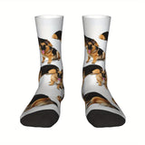 https://img.kwcdn.com/product/open/c5a2b3a32bc2415e9a2fb54fc146ad42-goods.jpeg