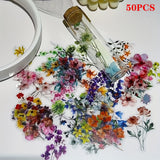 https://img.kwcdn.com/product/fancy/ca0f56b4-89d5-4bb6-b567-9bd2829e6dc6.jpg