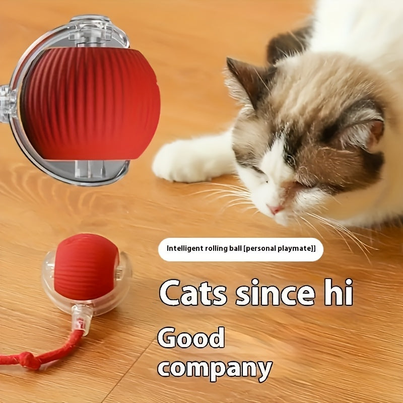 https://img.kwcdn.com/product/fancy/ca61a3b6-c94f-4702-876f-4a92ad68f0d5.jpg