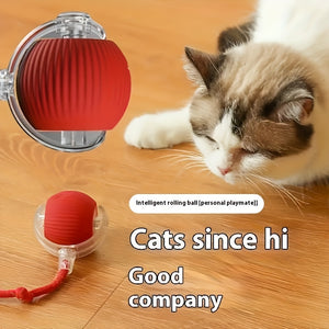 https://img.kwcdn.com/product/fancy/ca61a3b6-c94f-4702-876f-4a92ad68f0d5.jpg