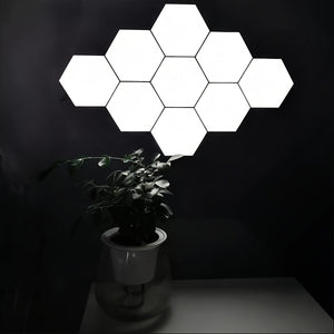 https://img.kwcdn.com/product/fancy/cb2164f6-a280-4261-bc55-be75c6c329bb.jpg