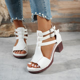 https://img.kwcdn.com/product/open/cb49aef6458a459ab72a4dfba3b7c248-goods.jpeg