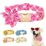 https://img.kwcdn.com/product/fancy/d003e644-eca3-40a4-8c87-edda7845ff53.jpg