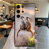 https://img.kwcdn.com/product/2079f65d84/d10821ef-2417-451c-8e75-04e7c71de107_1000x1000.jpeg