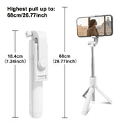 https://img.kwcdn.com/product/fancy/d266f48c-fb1c-4c96-8234-9b5aa53b93ff.jpg