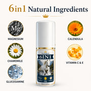 https://img.kwcdn.com/product/fancy/d37bc87b-ca18-4569-9543-8e4461ba261e.jpg