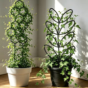 https://img.kwcdn.com/product/fancy/d439e740-61a6-4cd4-b0c9-c4af578aa452.jpg
