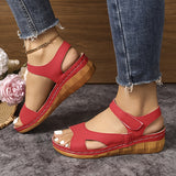 https://img.kwcdn.com/product/fancy/d5174491-8d2f-4c49-a393-63e4eea97000.jpg