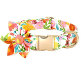 https://img.kwcdn.com/product/fancy/d5903c75-89f1-4793-ad26-ef68289954b9.jpg