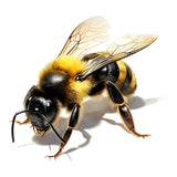 https://img.kwcdn.com/product/fancy/dd9d2cb5-de46-4acf-97c9-89df44688861.jpg