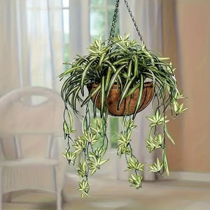 https://img.kwcdn.com/product/fancy/df152fde-df6e-43e3-8c9b-47555c4724fc.jpg