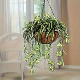 https://img.kwcdn.com/product/fancy/df152fde-df6e-43e3-8c9b-47555c4724fc.jpg
