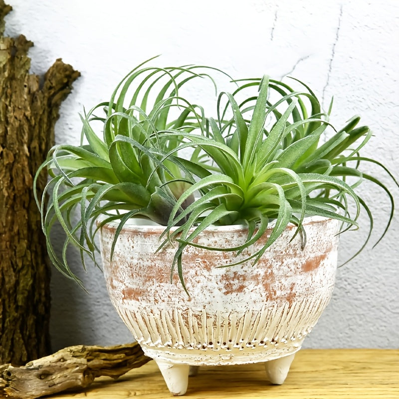 https://img.kwcdn.com/product/fancy/e01b43fa-774c-4aa4-bc7a-ebc6ab49b788.jpg