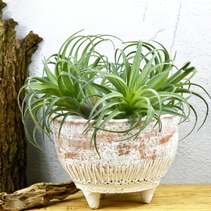 https://img.kwcdn.com/product/fancy/e01b43fa-774c-4aa4-bc7a-ebc6ab49b788.jpg