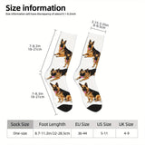https://img.kwcdn.com/product/open/e05c7df4de7c4c45b6c79e59980f9c03-goods.jpeg