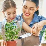 https://img.kwcdn.com/product/fancy/e0aad6eb-4807-4135-896d-56145e4e8c5e.jpg