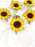 https://img.kwcdn.com/product/fancy/e17454f1-ab8e-435a-a499-602a89c2e6e6.jpg