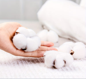 https://img.kwcdn.com/product/fancy/e48b3d67-5305-4ce4-b59d-9ebffec99e81.jpg